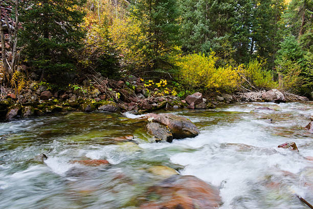 istock A River Flowing in the Valley 2222989568