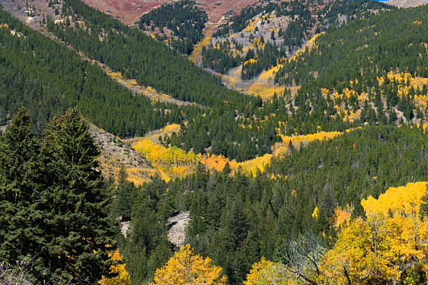 istock Mountains Covered with Colorful Fall Foliage 2222990255