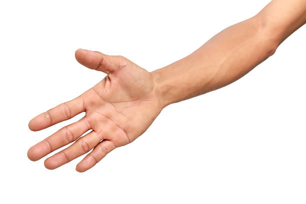 istock Isolated outstretched hand and arm on white background, reaching out, offering help 2222991006