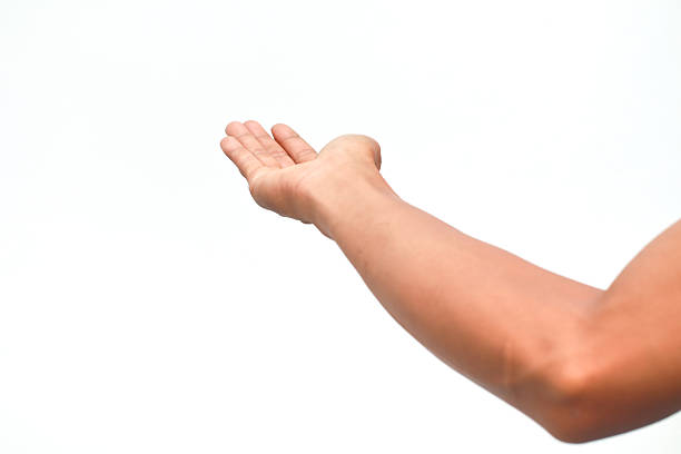 Human hand in a gesture, offering or reaching out against a clean white background, awaiting content