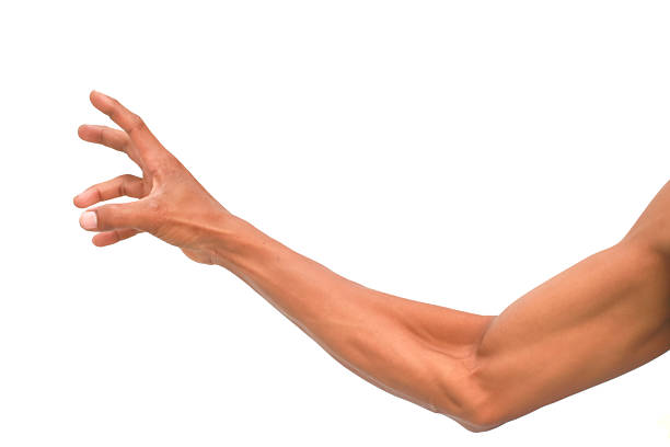 An isolated outstretched male arm showing reaching gesture against a white background.