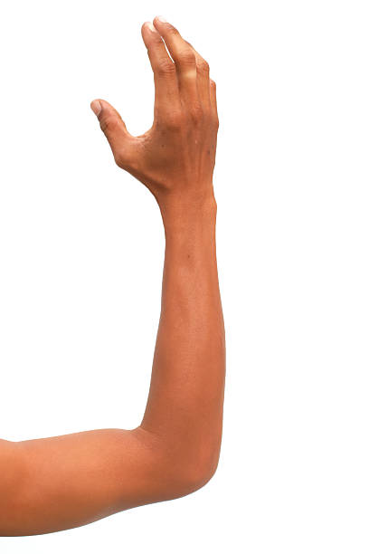 istock Isolated human arm and hand reaching upwards on a clean white background 2222991271