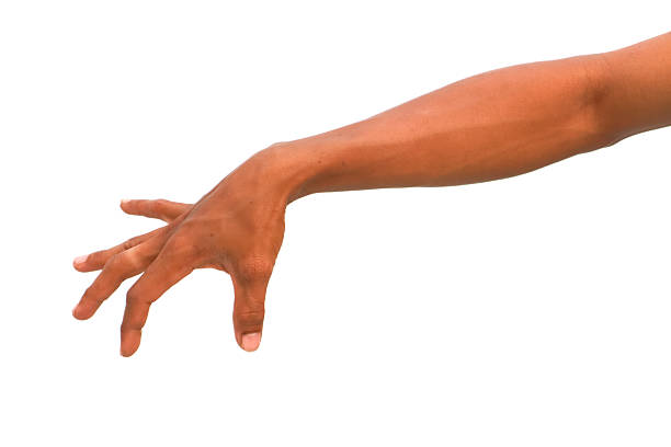 Isolated hand and arm reaching down with fingers extended, set against a pure white backdrop