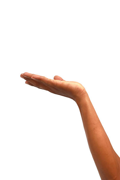 istock Isolated arm and hand with palm open, ideal for showcasing a product or concept on a pristine white background 2222991911
