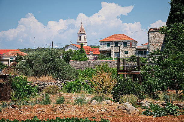 Traditional village on island Solta in Croatia