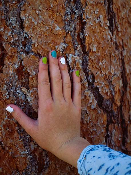Childs Play 1 of 3 Nature