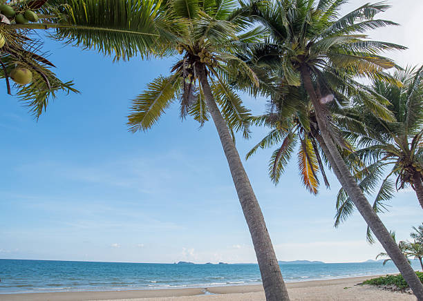 istock Beautiful nature sea summer background,Sand beach 2223001957