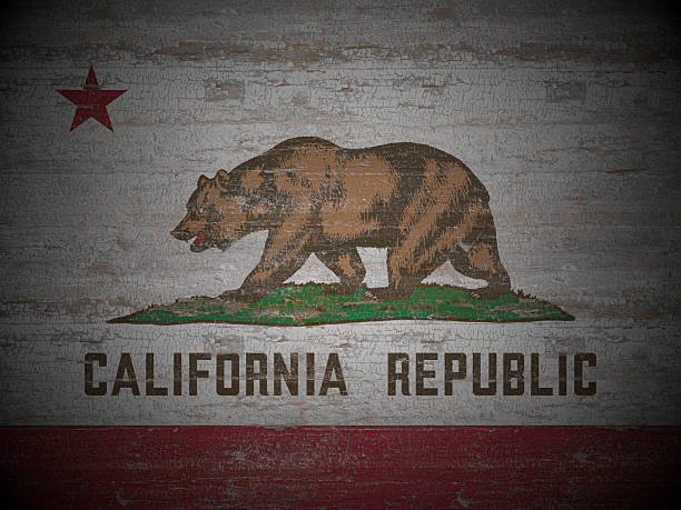 istock Old wooden California state flag 2223002963