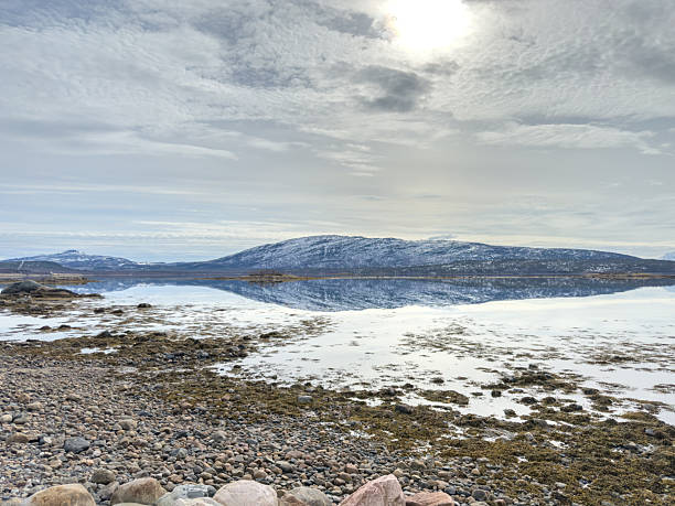 Rocky shoreline with seaweed and calm water reflecting snowy mountains under a cloudy sky. Tranquil Arctic landscape with natural coastal elements and distant mountain range. Scenic winter nature view.