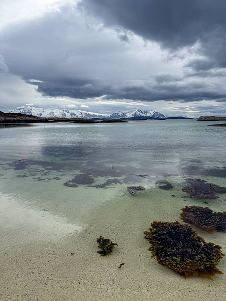 istock Calm Arctic Shoreline with Snowy Mountain View 2223008594