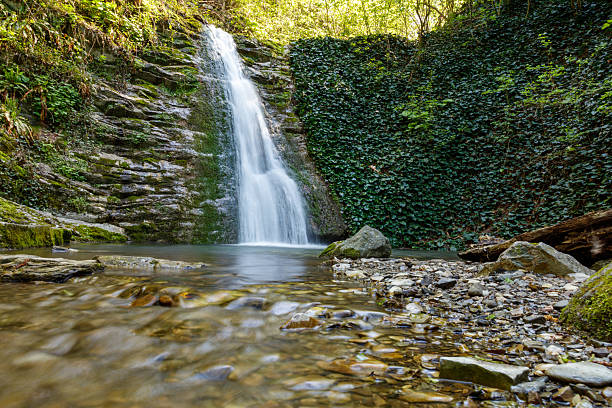 istock A waterfall is flowing into a small pool of water 2223010046
