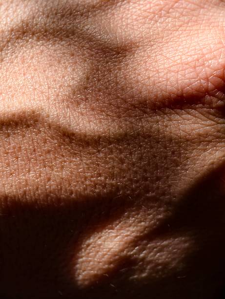 Detailed macro view of human skin showing texture and lines, with natural shadows adding complexity and depth.