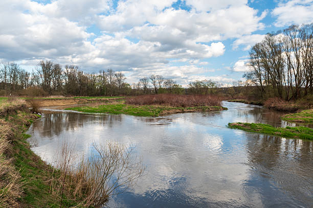 River confluence with meadow and trees around - confluence of Odra and Ondrejnice river in CHKO Poodri in Czech republic during early springtime
