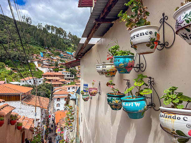 istock Colorful Flower Pots Hanging on Street Wall 2223016732