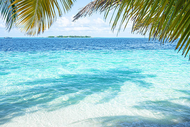 istock Beautiful tropical paradise beach copy space scene for background or wallpaper 2223017434