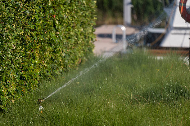 istock An automatic irrigation rain gun sprinkler system keeps a hedge and green crop moist in the June sun in Flevoland 2223019829