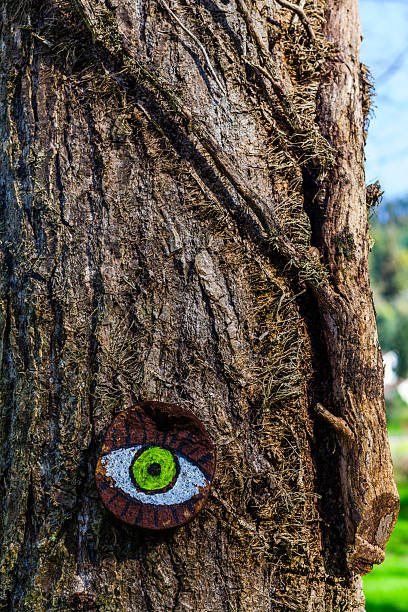 istock A tree trunk adorned with a painted eye, blending art and nature in a whimsical 2223022467
