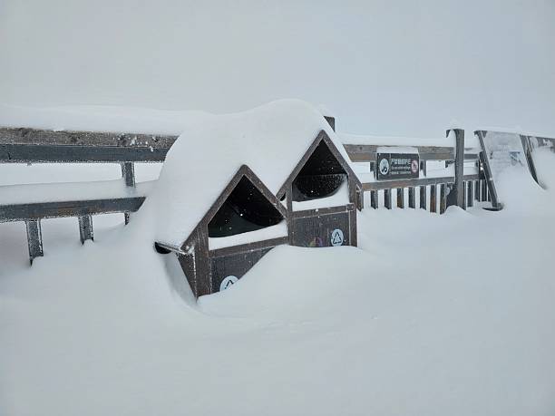 istock Heavy Snowfall Covers Bins Almost Completely Buried in White Powdery Snow with Visibility Challenges 2223027578
