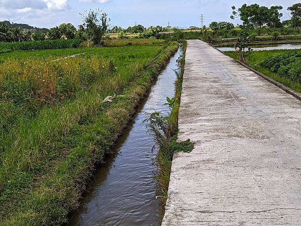 istock Balinese irrigation system distributing fresh water to terraced rice fields, vital for seasonal farming. Traditional irrigation canal flowing through rice fields in Bali, Indonesia — part of the ancient Subak system 2223028437