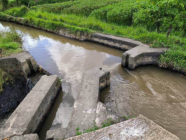 istock Balinese irrigation system distributing fresh water to terraced rice fields, vital for seasonal farming. Traditional irrigation canal flowing through rice fields in Bali, Indonesia — part of the ancient Subak system 2223028478