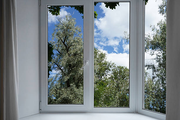 istock View through a  window of a forest, a park with green and silver willow trees. 2223028628