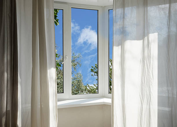 istock View through a  window of a forest, a park with green and silver willow trees. 2223028631
