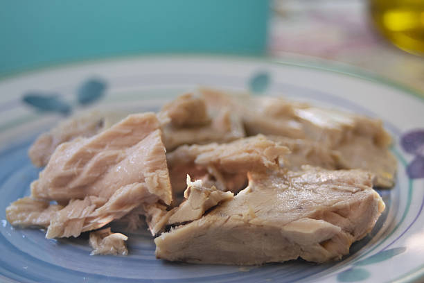 istock homemade tuna fillets on ceramic plate 2223029324