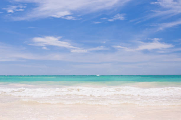 Beach in Punta Cana, Dominican republic - Idyllic view to the blue ocean through the coconut trees (palms). Clear sky with low clouds on the background. Shot with Canon 5D mkII.