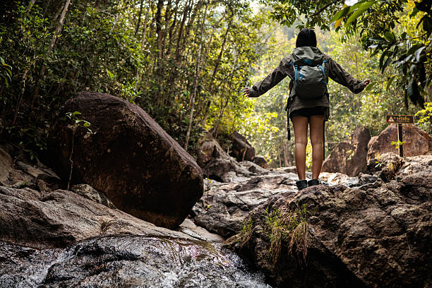 istock In harmony with the forest, exploring Thailand’s natural treasures 2223030392