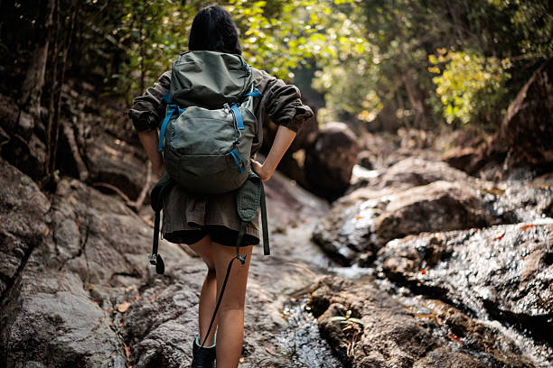 istock Exploring national park in Thailand 2223030692