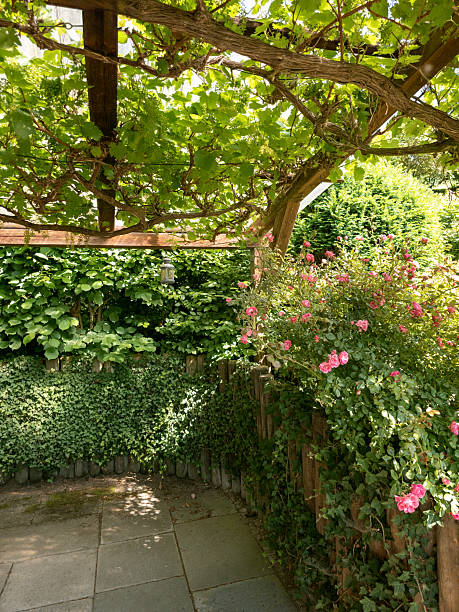 istock green terrace in summer 2223032204