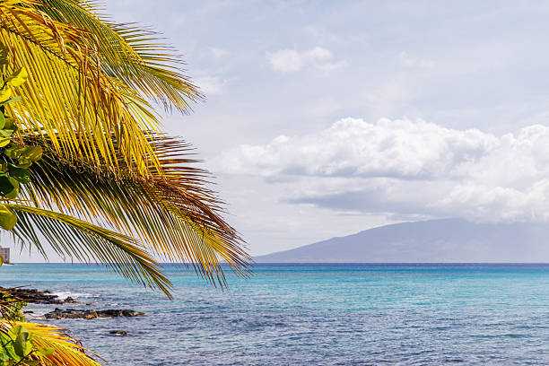 Beautiful Maui landscape in Hawaii featuring a sandy beach, turquoise sea, and lush greenery