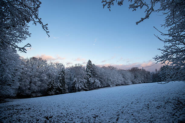 Natural winter landscape. Forest under snow a the winter time at Black Forest, Germany