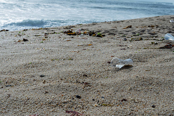 istock Plastic garbage polluting sandy beach near ocean waves 2223036342
