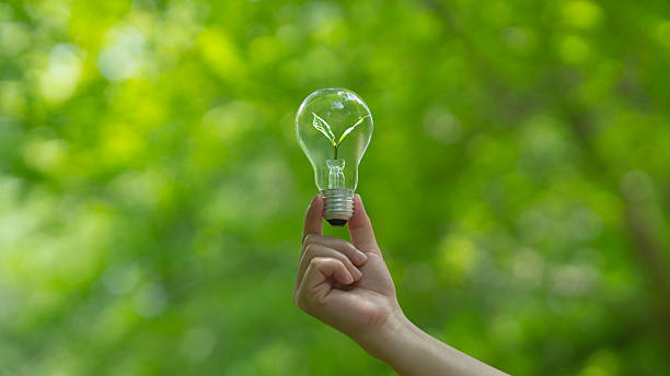 istock Green tree growing with light bulb with sunlight in nature. Energy saving and environment concept. On green forest background. 2223039065