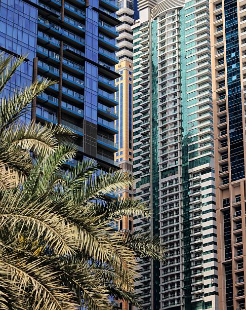Modern skyscrapers in Dubai with a palm tree in the foreground, showcasing urban architecture.