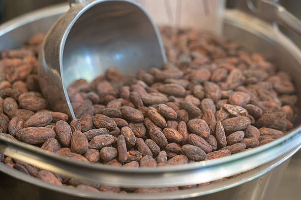 istock A large bowl filled with cacao beans accompanied by a scoop inside it 2223042520