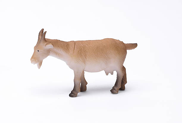 istock Toy plastic goat on white background 2223046011