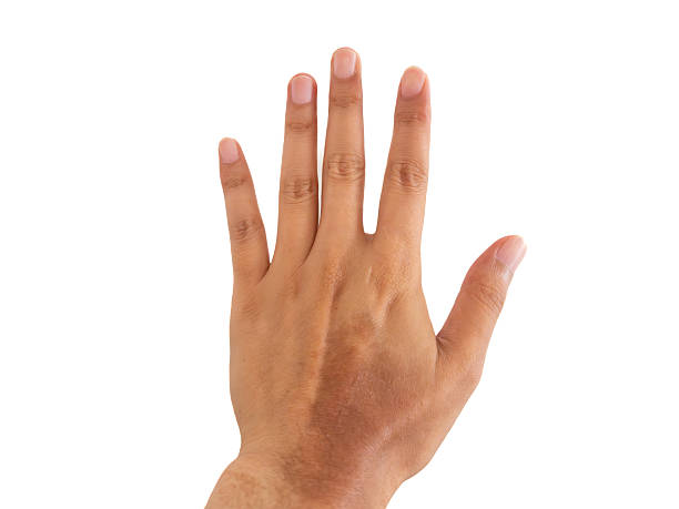 istock Man's left hand on the white background. Body part concept. 2223051659