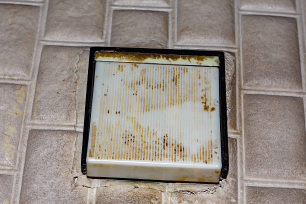 istock Dirty Old Light Switch on Wallpapered Wall — Vintage Interior, Burnt Plastic Switch, Neglected Home Electrical Detail 2223053729
