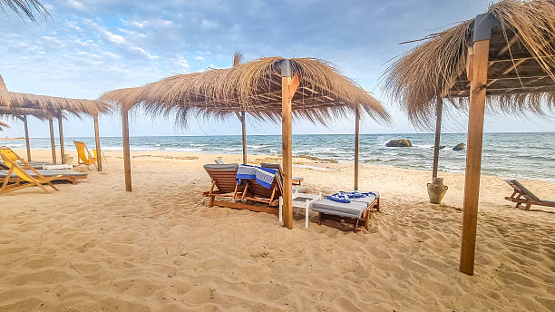 istock Landscape in a beach in Hammamet, Tunisia 2223055094
