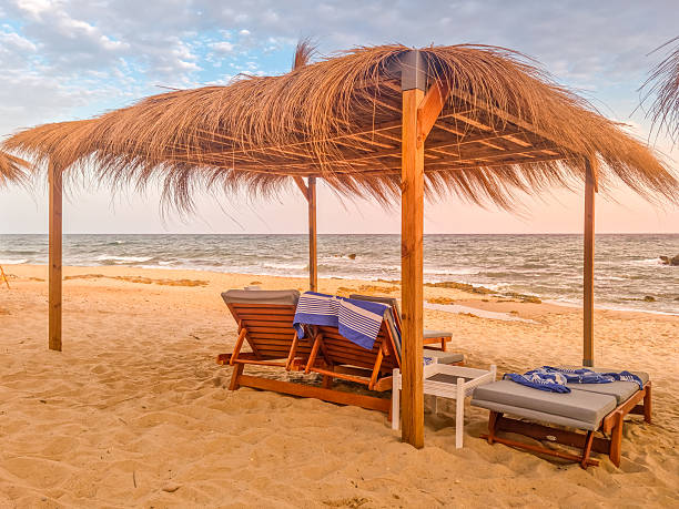 istock Landscape in a beach in Hammamet, Tunisia 2223055096