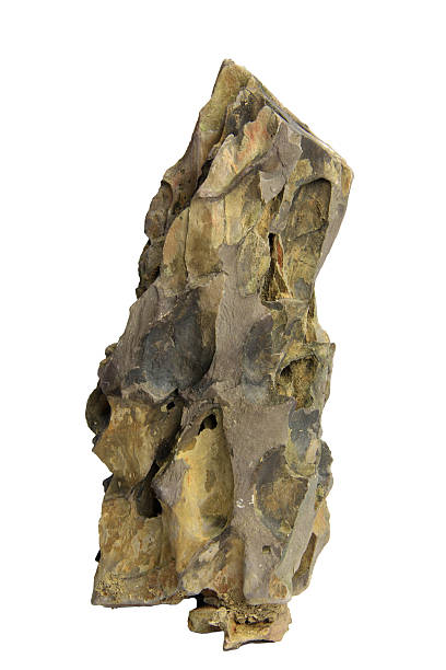 istock Natural dragon stone with deep cavities and unique formations isolated on a white background. Included clipping path. For paludariums and fish tanks 2223056647