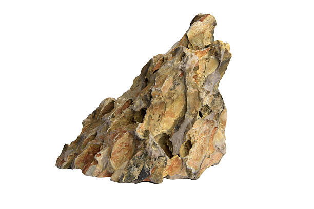 istock Textured dragon stone with a sharp peak and intricate surface details isolated on a white background. Included clipping path 2223056722