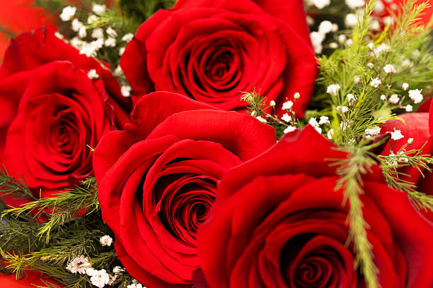 Bouquet of red roses
