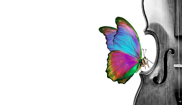 istock Melody concept. Butterfly sitting on a violin isolated on a white. Bright tropical butterfly. Fragment of violin black and white. copy space 2223066914