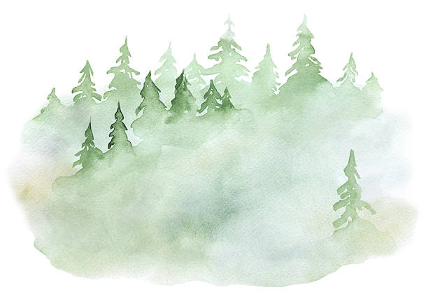istock Hand drawn watercolor green spruce or pine tree misty forest, winter isolated illustration 2223068686