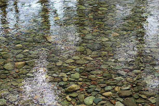 Pure Fresh Mountain Stream in Summer - Scenic tranquil spot with lush green foliage and Zen-like look. Peak summer mountain creek. Vail, Colorado USA.