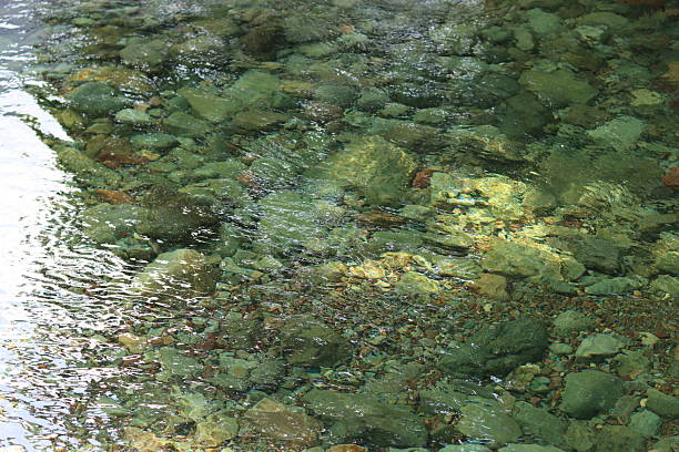 Clear river water flowing over a bed of stones