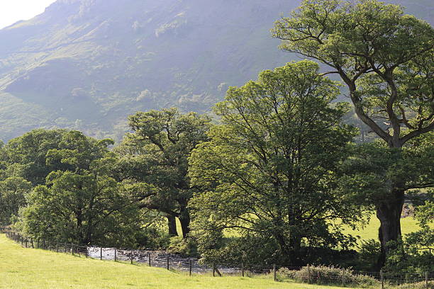 River flowing through a valley in the Lake District